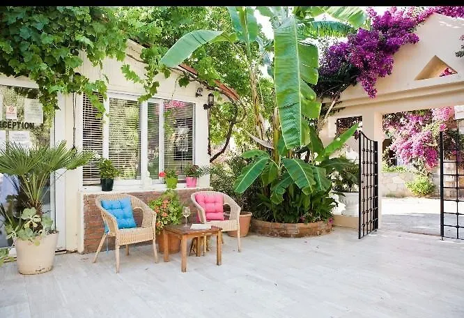 Merve Apartments, Your Home From Home In Central Bodrum, Street Cats Frequent The Property, Not All Apartments Have Balconies , Ground Floor Have Terrace With Table And Chairs 2*, Bodrum